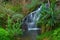 Remote waterfall in rainforest in Hawaii