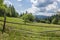 Remote wooden house in green summer Carpathian mountains