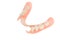 Removable plastic denture