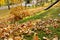 Removing autumn leaves with blower from lawn