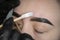 Removing eyebrows with hot wax. Cosmetician undergoing waxing procedure for human brow