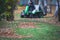 Removing fallen autumn leaves in the park, process of raking and cleaning the area from yellow leaves, regular seasonal work with