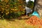 Removing foliage Autumn leaves