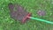 Removing molehills on lawn grass with new colorful rake