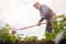 Removing weeds from soil of potatoes, Senior elderly man wielding hoe in vegetable garden