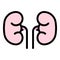 Renal kidney icon color outline vector