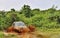 Renault Duster Offroading in the Jungle