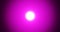 Render with blurry bright magenta light with white part in the center