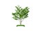 Render of the carpinus bush