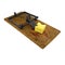 Render of a mouse trap with cheese