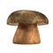 Render of mushroom