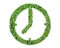 Render natural grass leaf clock symbol