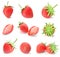 Rendering a set, collection of fresh strawberry fruits isolated on white background.