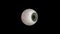 Rendering video in HD of an eyeball