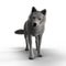 Rendering White Wolf Standing Isolated