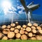 Renewable Energies Sources - Wind Solar Biomass