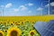 Renewable energy resources in natural environment with sunflower field, photovoltaic panels and windmills