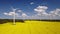 Renewable energy, wind energy with windmills. Wind turbines farm generating electricity on rapeseed fields - aerial view