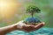 Renewable promise Hand holds tree, solar cell, and globe illustration