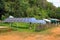 Renewable solar energy in a village of East Asia, in jungle