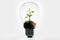 Renewable sources light bulb. Generative ai