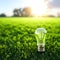 Renewable, sustainable or green energy light bulb. Generative AI