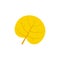 Reniform leaf flat icon