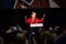 Reno, NV - June 23, 2018 - Crowd Recording Elizabeth Warren With