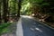 Renovation of asphalt road in the mountains. The ditches are filled with stones to slow down the water flowing out of the metal gr