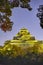 Renowned Crow Castle or Ujo Castle in Okayama City on the Asahi River in Japan With Traditional Maple Branches in The Frame