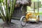 Rent a bike tricycle ride through the jungle Coba Ruins