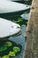 Rent rowboat anchored at the pier of a lake in city park. Hamburg