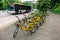 Rental bicycles parked by footpath