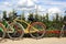 Rental Bicycles Parking Nearby Colorful Flower Bed