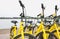 Rental bikes in urban. Shared bicycle public bicycle