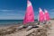 Rental pink sailboat boats at Noirmoutier beach in Vendee France