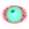 Rentgen photo. Isolated elliptic animal red eye with large pupil and bright retina.