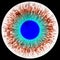 Rentgen scan eye with open pupil and bright blue retina in background. Dark colorful iris around pupil, isolated eye.