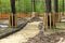 Repair of paths in parks. Protection of trees in the reconstruction of Park areas. Construction equipment works on the repair of