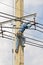 Repairing electrical transmission lines