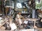 Repairman of household appliances on his workshop at Sayaxche