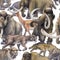 Repeated seamless pattern of a watercolor prehistoric animals