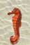Replica seahorse