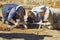 A reporter and cameraman filming a report on archaeological excavations