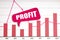 On the reporting chart there is a plate with the inscription - PROFIT