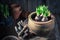 Repotting green plants and old clay pots in wooden hut