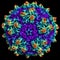 Representation of an Adenovirus particle
