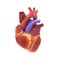 Representation of a human heart, 3d illustration