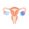 Reproductive system concept