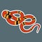 Reptile cartoon illustration. Coral Snake sticker. Vector illustration